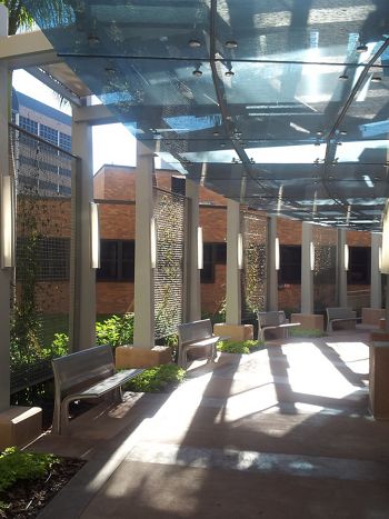 McNICHOLS ECO-MESH creates a plant screen and provides shade to this Tampa, FL hospital walkway