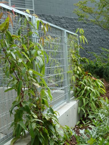 View of ECO-MESH by McNICHOLS used as a building facade in Seattle, WA